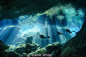 Divers enjoying the spectacular natural lighting display ... by Elaine White 